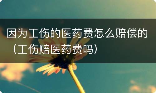 因为工伤的医药费怎么赔偿的（工伤赔医药费吗）