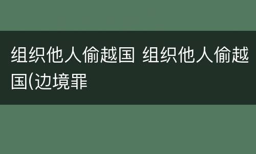 组织他人偷越国 组织他人偷越国(边境罪
