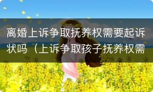 离婚上诉争取抚养权需要起诉状吗（上诉争取孩子抚养权需要什么资料）