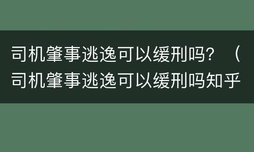 司机肇事逃逸可以缓刑吗？（司机肇事逃逸可以缓刑吗知乎）