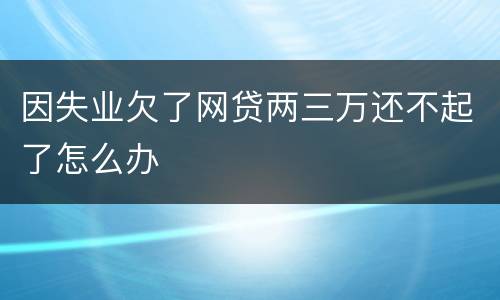 因失业欠了网贷两三万还不起了怎么办
