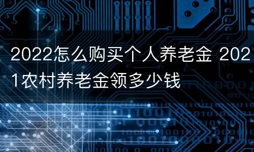 2022怎么购买个人养老金 2021农村养老金领多少钱