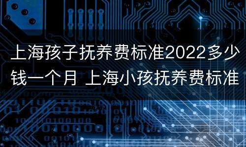 上海孩子抚养费标准2022多少钱一个月 上海小孩抚养费标准一月多少钱2020年