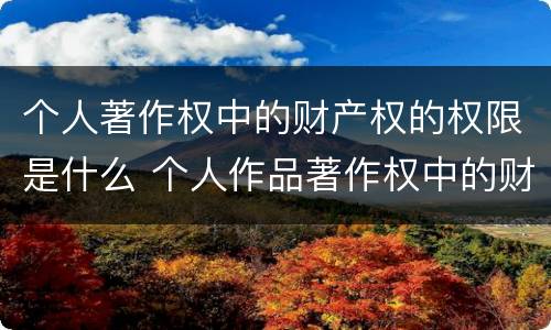 个人著作权中的财产权的权限是什么 个人作品著作权中的财产权 哔哩哔哩