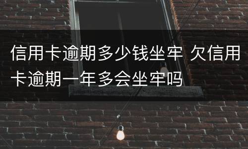 信用卡逾期多少钱坐牢 欠信用卡逾期一年多会坐牢吗