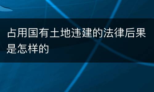占用国有土地违建的法律后果是怎样的