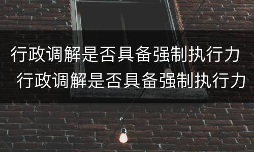 行政调解是否具备强制执行力 行政调解是否具备强制执行力的条件