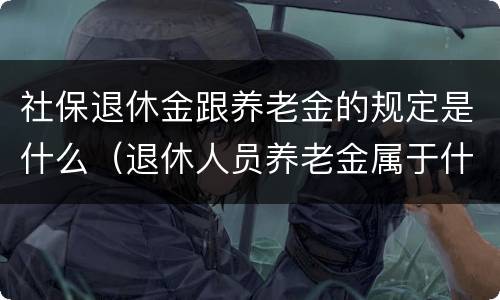 社保退休金跟养老金的规定是什么（退休人员养老金属于什么社会保障）