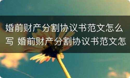 婚前财产分割协议书范文怎么写 婚前财产分割协议书范文怎么写的