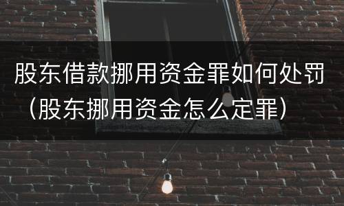 股东借款挪用资金罪如何处罚（股东挪用资金怎么定罪）