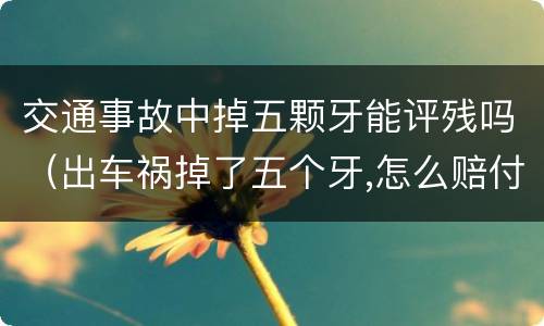 交通事故中掉五颗牙能评残吗（出车祸掉了五个牙,怎么赔付）
