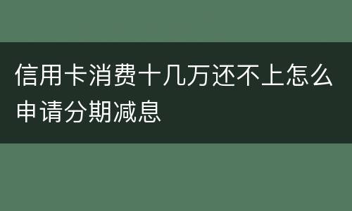 信用卡消费十几万还不上怎么申请分期减息