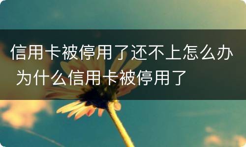 信用卡被停用了还不上怎么办 为什么信用卡被停用了