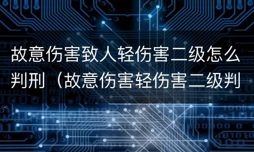 故意伤害致人轻伤害二级怎么判刑（故意伤害轻伤害二级判多少年）