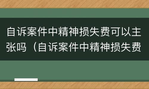 自诉案件中精神损失费可以主张吗（自诉案件中精神损失费可以主张吗怎么办）