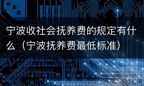 宁波收社会抚养费的规定有什么（宁波抚养费最低标准）