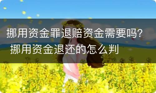 挪用资金罪退赔资金需要吗？ 挪用资金退还的怎么判