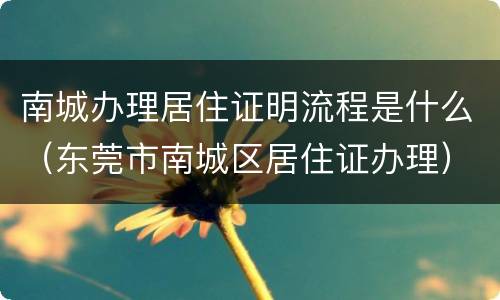 南城办理居住证明流程是什么（东莞市南城区居住证办理）