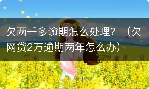 欠两千多逾期怎么处理？（欠网贷2万逾期两年怎么办）