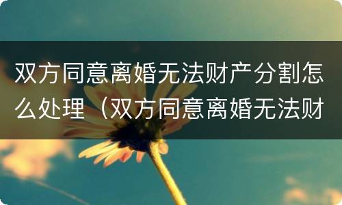 双方同意离婚无法财产分割怎么处理（双方同意离婚无法财产分割怎么处理呢）