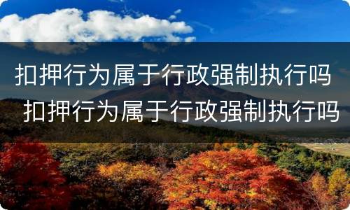 扣押行为属于行政强制执行吗 扣押行为属于行政强制执行吗对吗