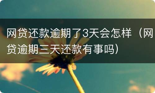 网贷还款逾期了3天会怎样（网贷逾期三天还款有事吗）
