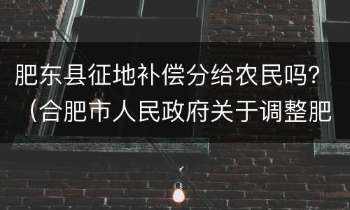 肥东县征地补偿分给农民吗？（合肥市人民政府关于调整肥东县被征收土地上）