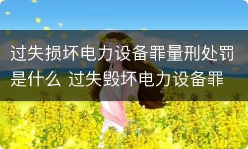 过失损坏电力设备罪量刑处罚是什么 过失毁坏电力设备罪