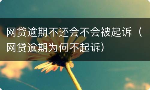 网贷逾期不还会不会被起诉（网贷逾期为何不起诉）