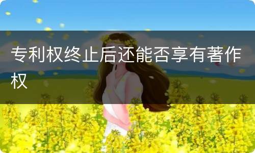 专利权终止后还能否享有著作权