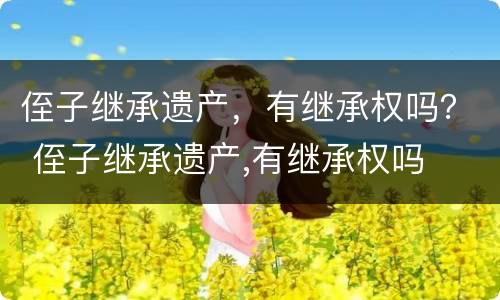 侄子继承遗产，有继承权吗？ 侄子继承遗产,有继承权吗