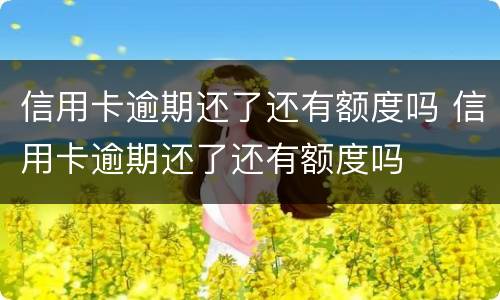 信用卡逾期还了还有额度吗 信用卡逾期还了还有额度吗
