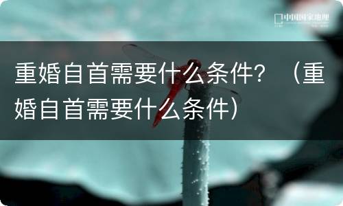 重婚自首需要什么条件？（重婚自首需要什么条件）