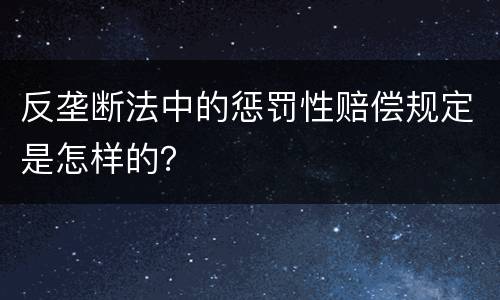 反垄断法中的惩罚性赔偿规定是怎样的？