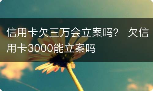 信用卡欠三万会立案吗？ 欠信用卡3000能立案吗