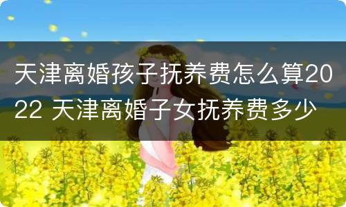 天津离婚孩子抚养费怎么算2022 天津离婚子女抚养费多少