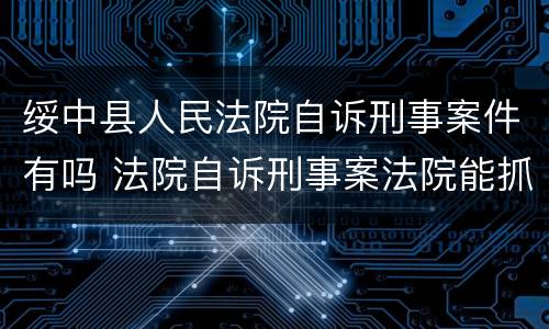 绥中县人民法院自诉刑事案件有吗 法院自诉刑事案法院能抓人吗