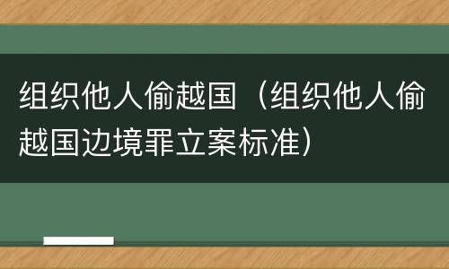 组织他人偷越国（组织他人偷越国边境罪立案标准）