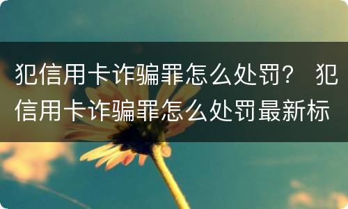 犯信用卡诈骗罪怎么处罚？ 犯信用卡诈骗罪怎么处罚最新标准