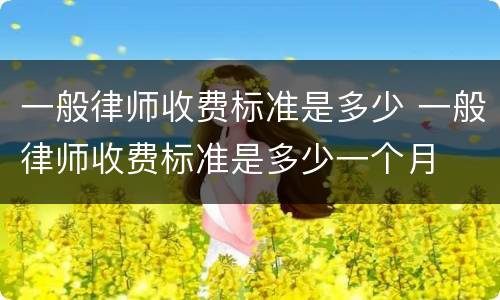 一般律师收费标准是多少 一般律师收费标准是多少一个月