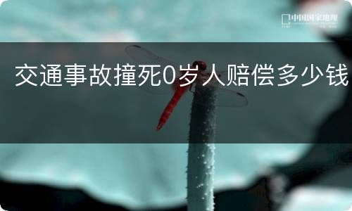 交通事故撞死0岁人赔偿多少钱