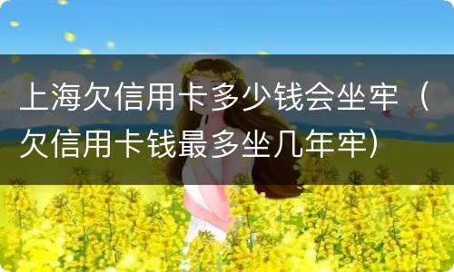 上海欠信用卡多少钱会坐牢（欠信用卡钱最多坐几年牢）