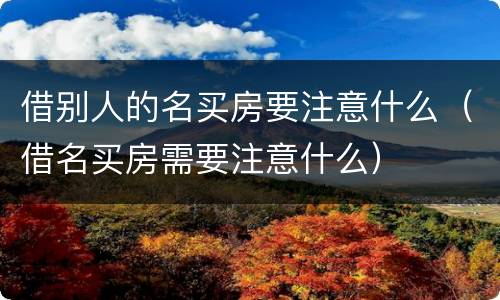 借别人的名买房要注意什么（借名买房需要注意什么）