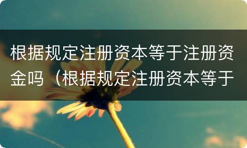 根据规定注册资本等于注册资金吗（根据规定注册资本等于注册资金吗为什么）
