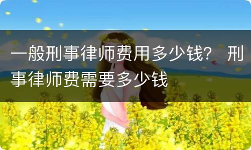 一般刑事律师费用多少钱？ 刑事律师费需要多少钱