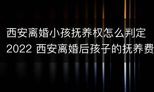 西安离婚小孩抚养权怎么判定2022 西安离婚后孩子的抚养费怎么算