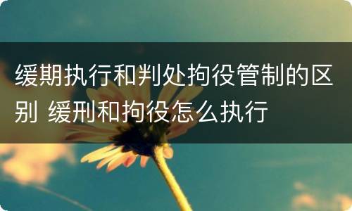 缓期执行和判处拘役管制的区别 缓刑和拘役怎么执行