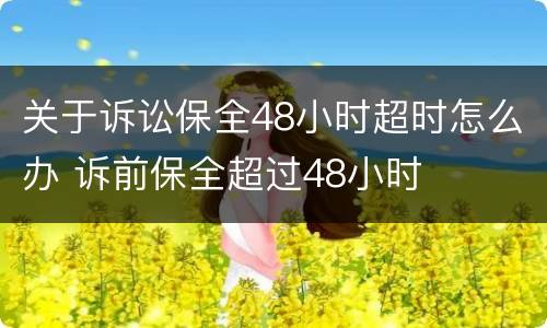 关于诉讼保全48小时超时怎么办 诉前保全超过48小时
