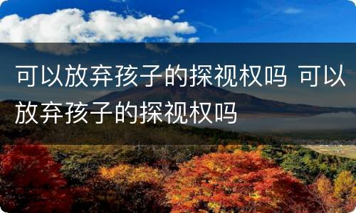可以放弃孩子的探视权吗 可以放弃孩子的探视权吗
