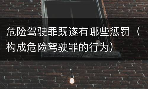 危险驾驶罪既遂有哪些惩罚（构成危险驾驶罪的行为）
